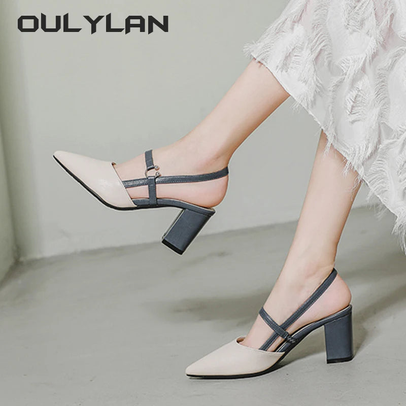 Pointed Toe Block Heel Sandals