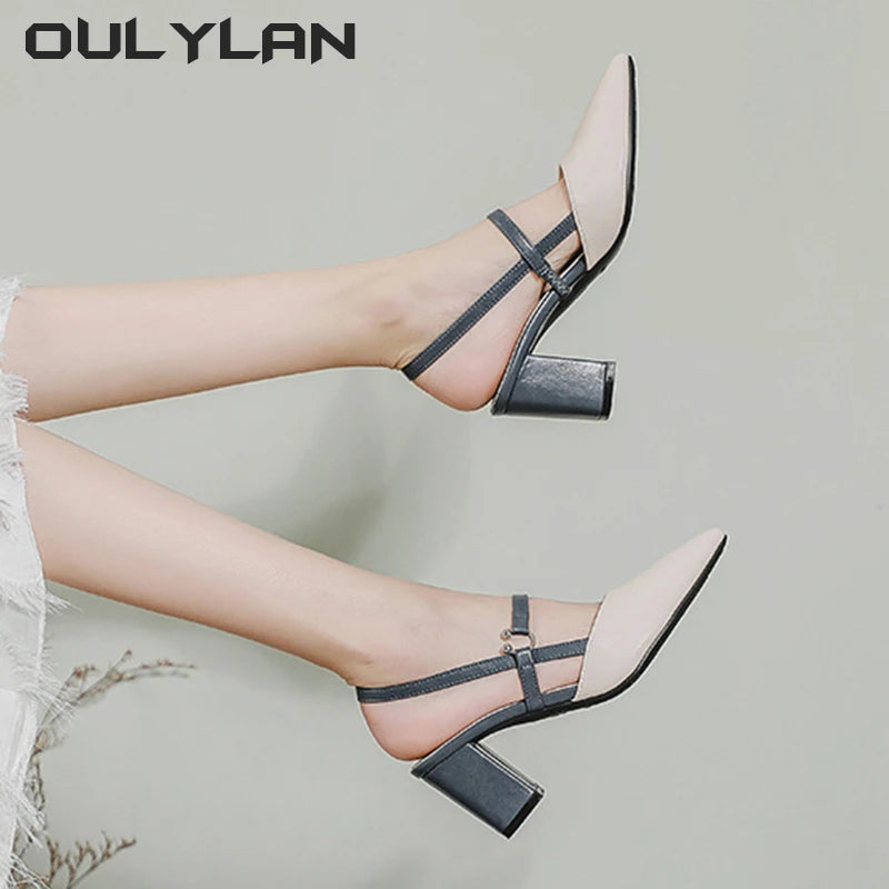 Pointed Toe Block Heel Sandals