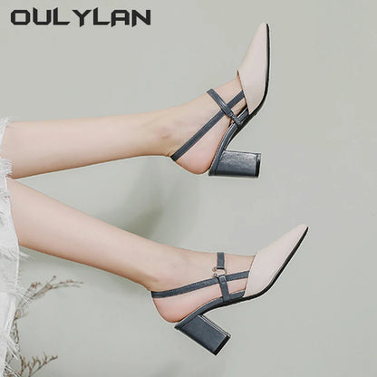 Pointed Toe Block Heel Sandals