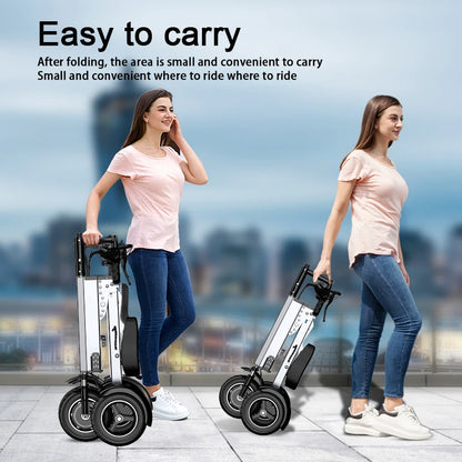 WILLJERDY Electric Tricycle